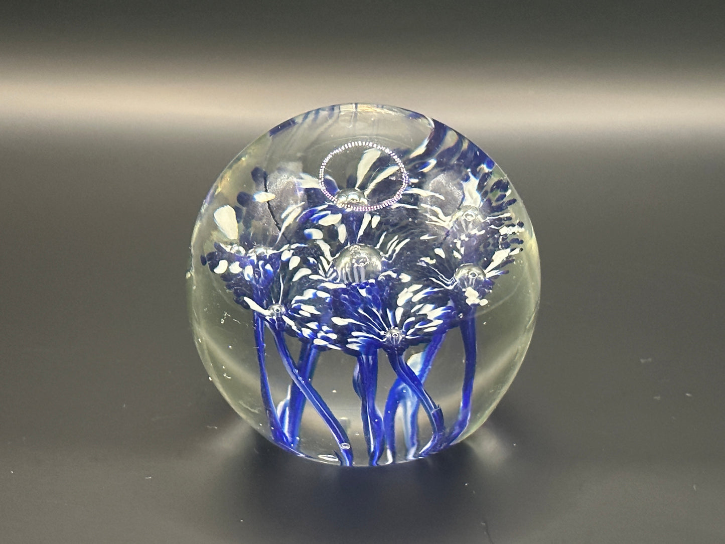 Large Blue Foral Paper weight