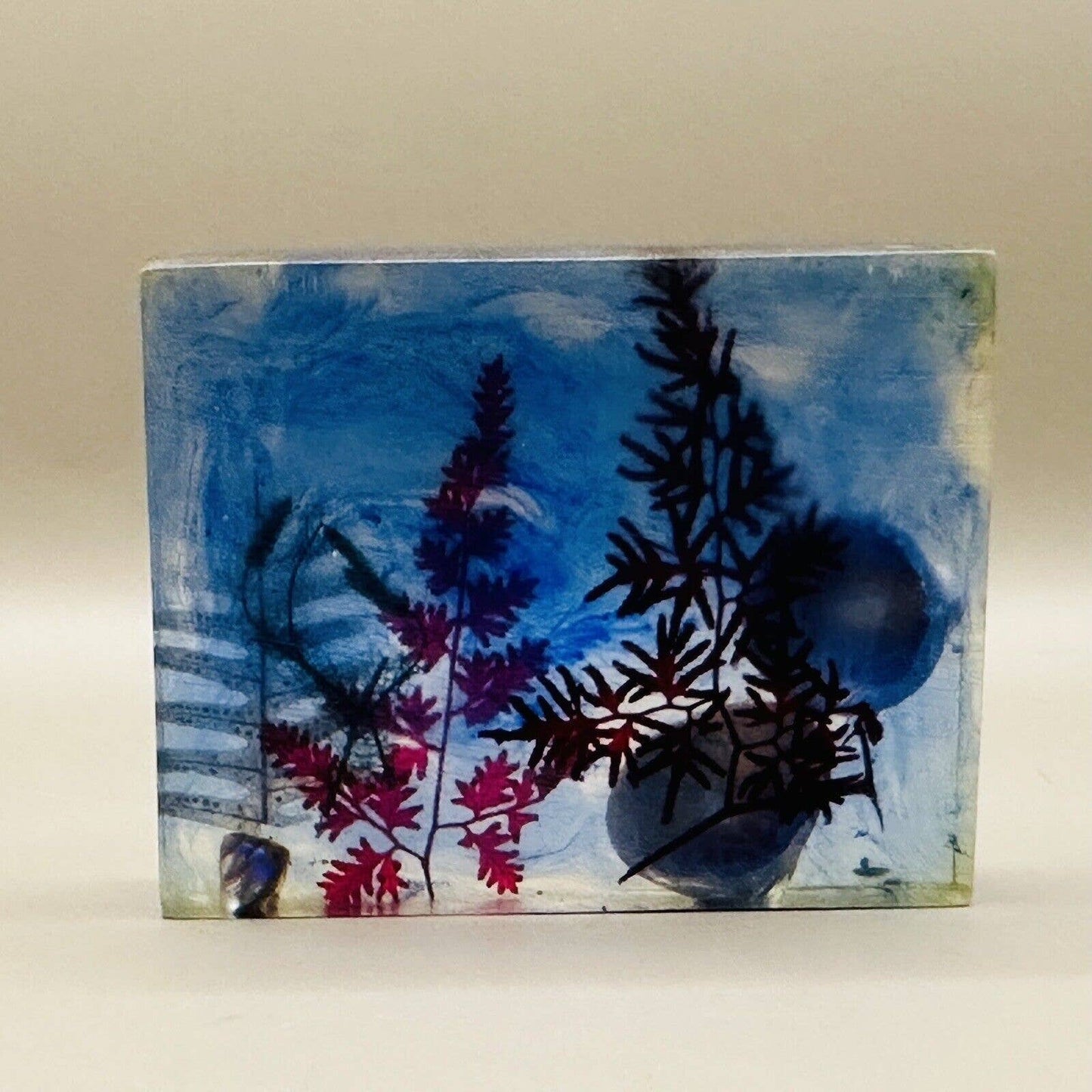 Lucite Square Paperweight Dried Flowers Seashells Blue Red