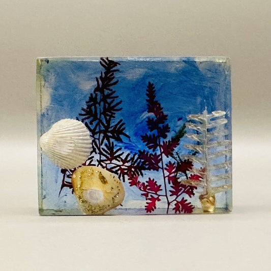 Lucite Square Paperweight Dried Flowers Seashells Blue Red